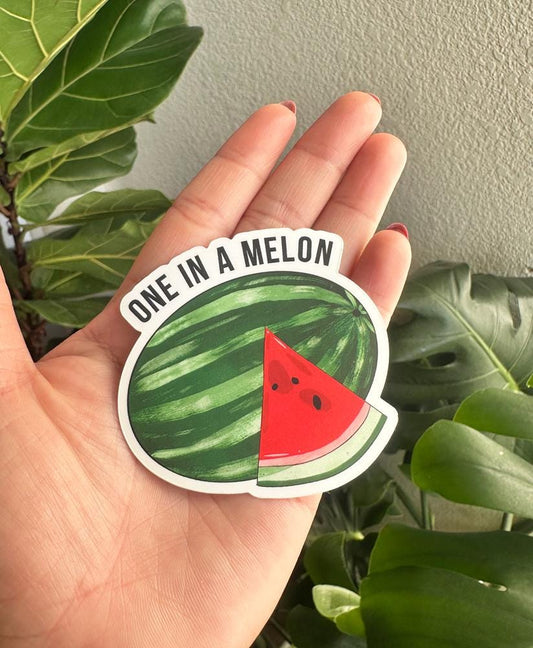One in a Melon Sticker | Watermelon Pun Vinyl Decal