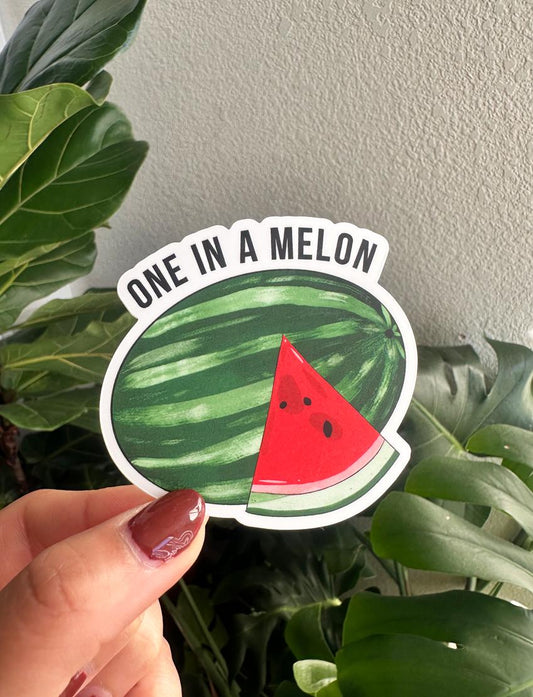 One in a Melon Sticker | Watermelon Pun Vinyl Decal